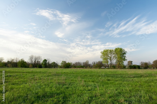 Green pasture and blue sky © Sea Wave
