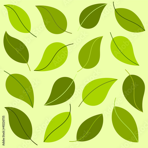 Leaves pattern