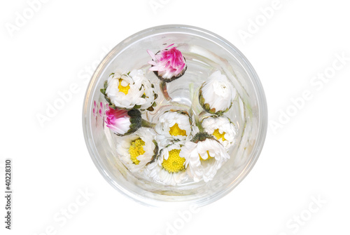 gaensebluemen in glas von oben
