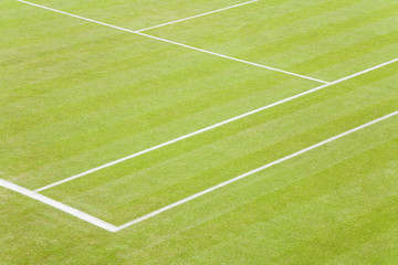 Grass tennis court