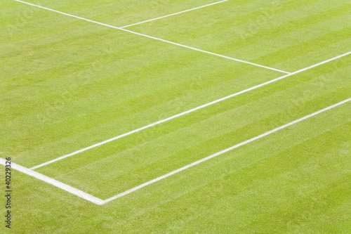 Grass tennis court photo