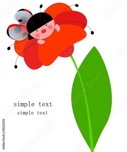 Coccinella curiosa