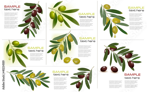 Set of backgrounds with green and black olives.