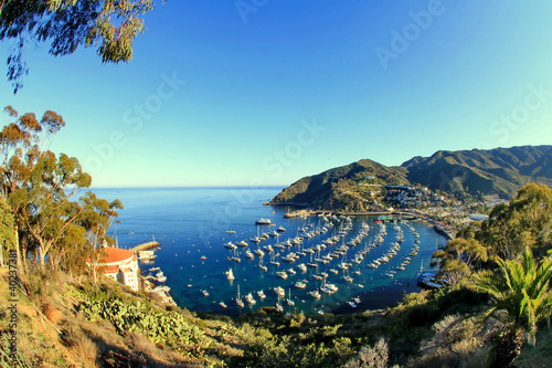 catalina island