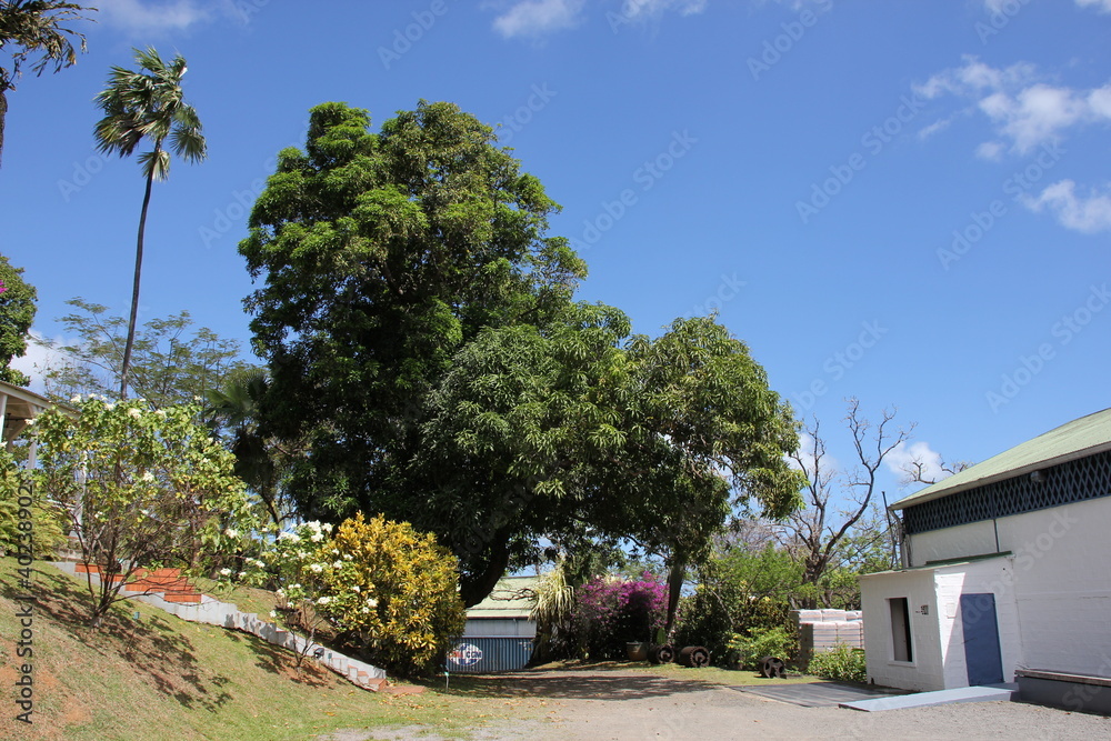 Martinique - Habitation Clément Martinique - Habitation Clément