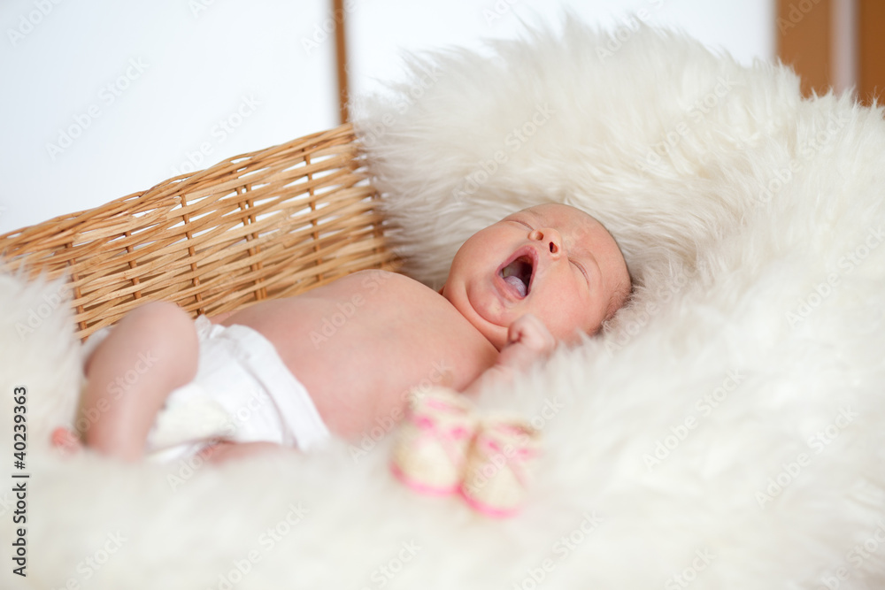 Fototapeta premium adorable baby are sleeping in a wicker basket