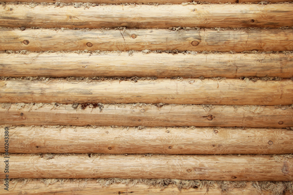 Wood texture