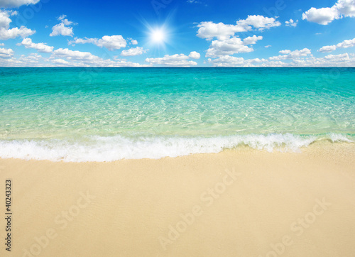 beach and tropical sea