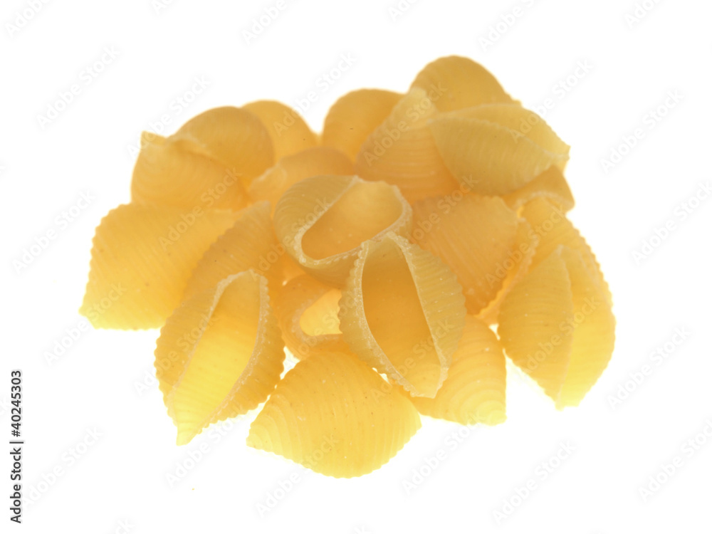 Conchiglie Regate Pasta Shells Conchiglie Regate Pasta Shells