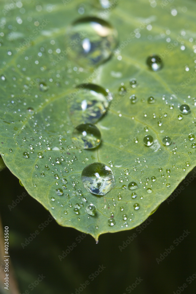 water droplets water droplets