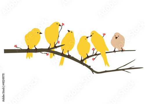 Yellow Bird Decal artwork