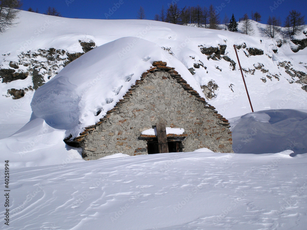Fototapeta premium small chalet