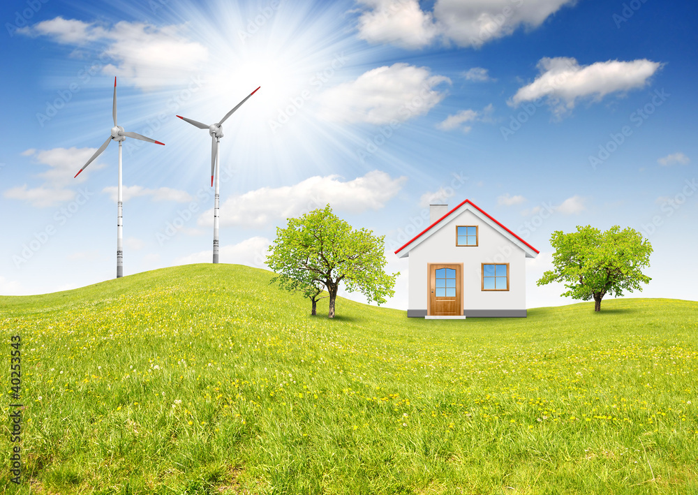The house in spring landscape with wind turbine