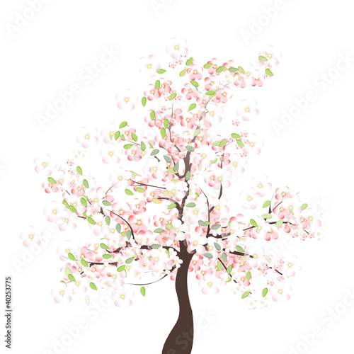 Spring apple tree