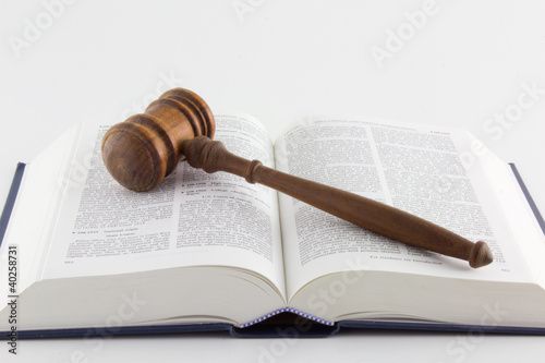 Gavel On a Legal Text