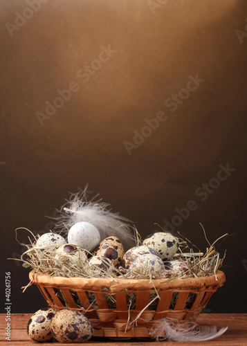 quail eggs in nest on wooden table on brown background