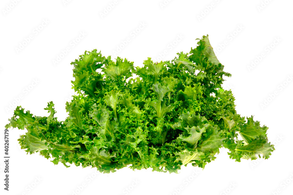 Obraz premium green salad isolated on a white background