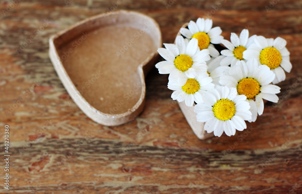 Fototapeta premium Spring daisies in a box for a gift. Soft Focus