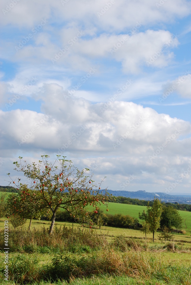 Obraz premium Herbststimmung