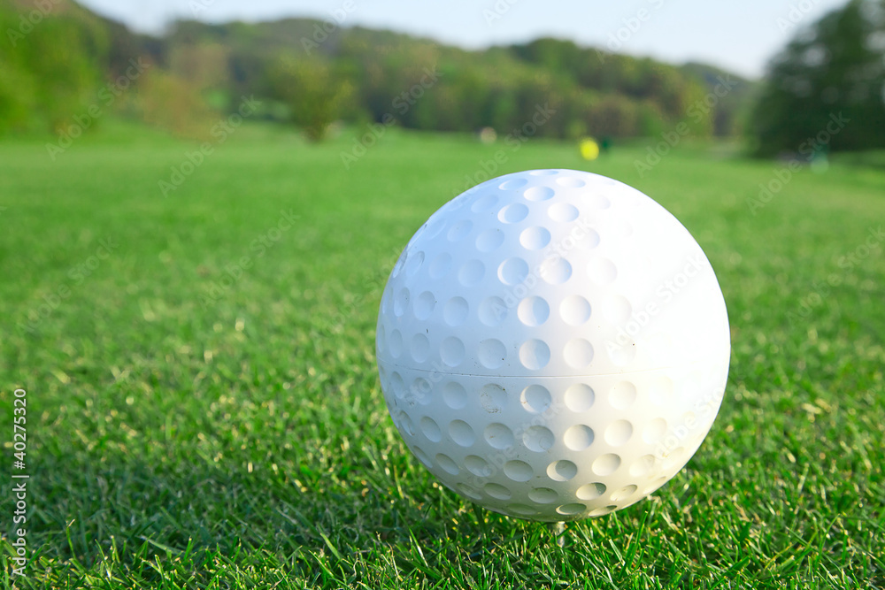 golf golf