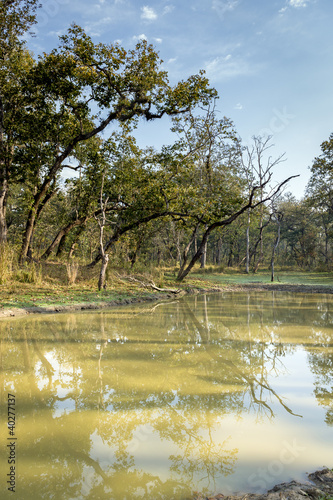 Lake in Nepal jungle (Chitwan). photo