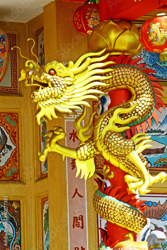 Chinese dragon © wilkat