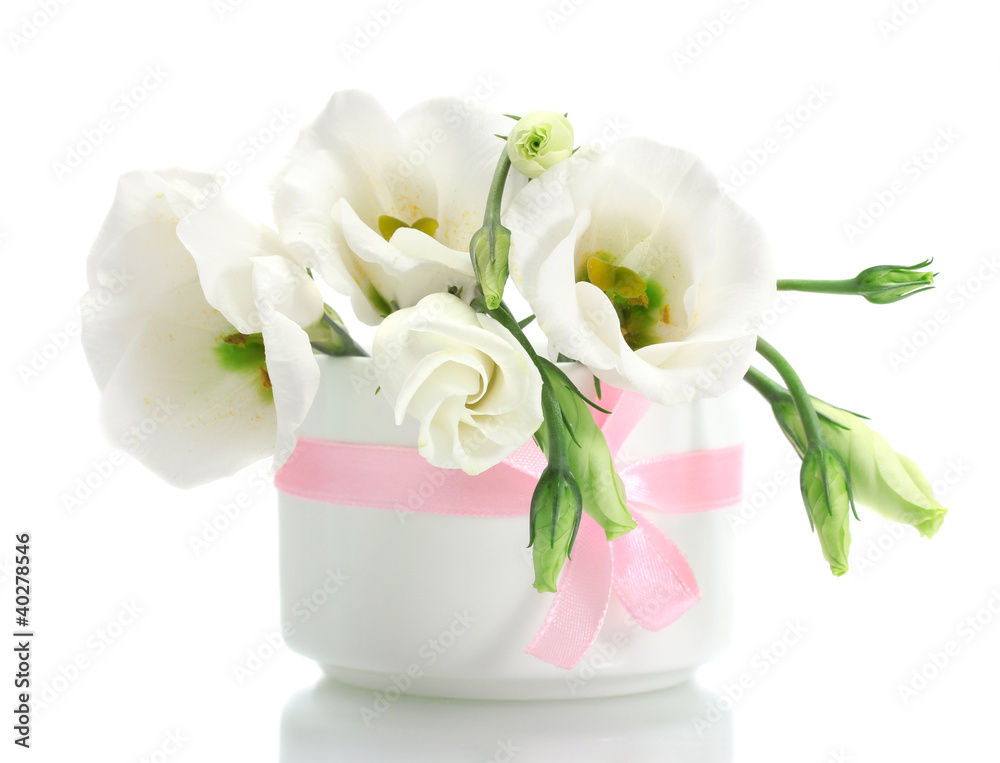 beautiful spring flowers in vase isolated on white beautiful spring flowers in vase isolated on white
