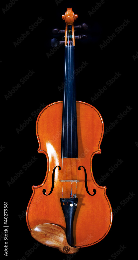 Brown violin from front