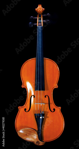 Brown violin from front