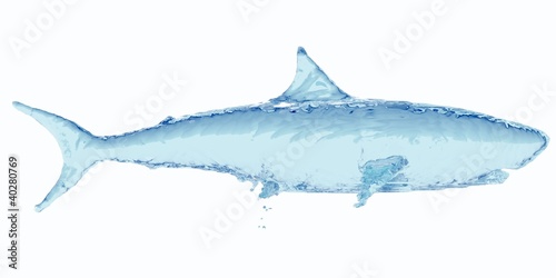 Water shark. 3d rendering