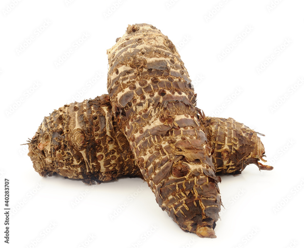 taro roots on white taro roots on white