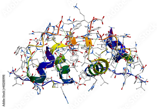 Insulin molecular structure