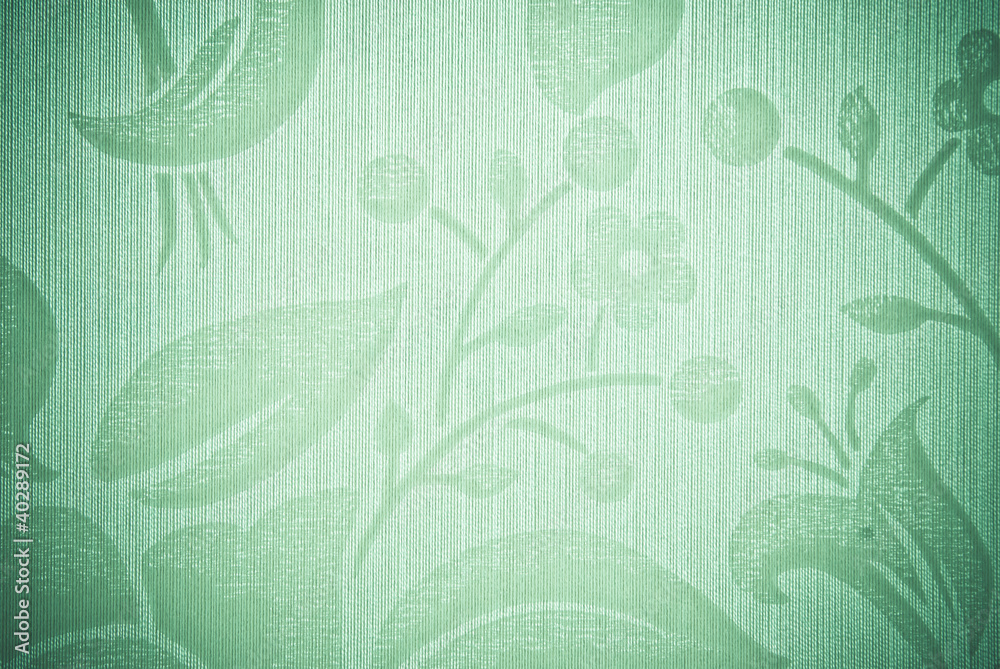 Fototapeta premium green abstract background or texture