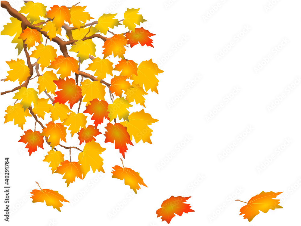 herbst