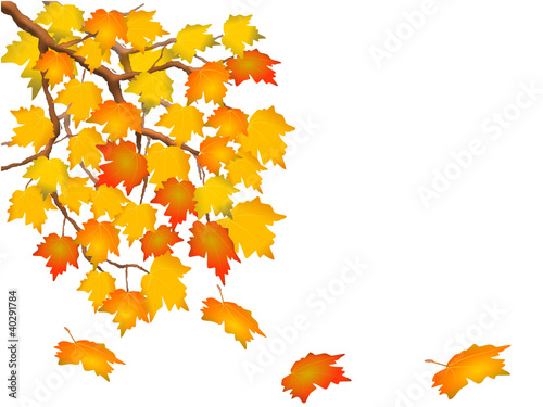 herbst