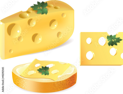 cheese and sandwich with cheese  isolated on white