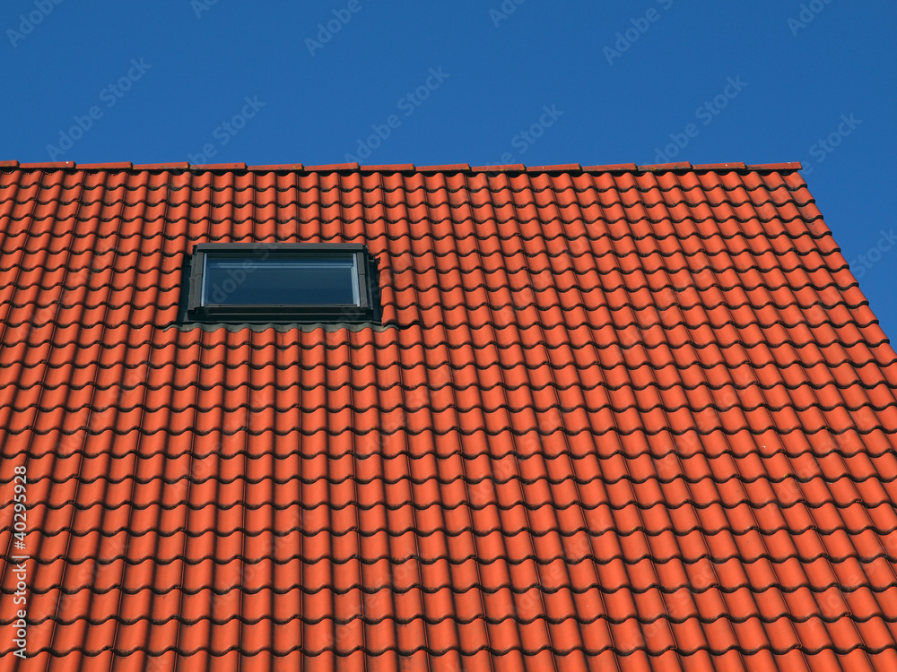 Fototapeta premium Dachfläche