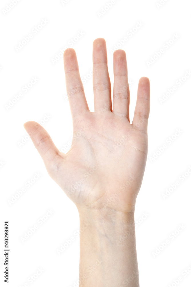 Palm side of hand Palm side of hand