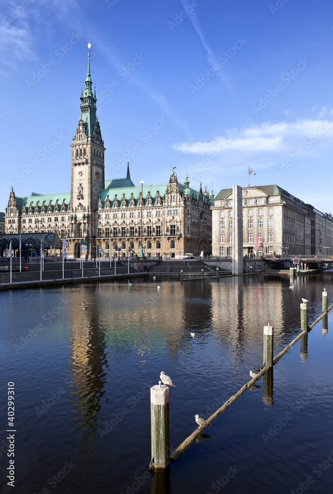 Fototapeta premium Town Hall, Rathaus, Hamburg, Germany