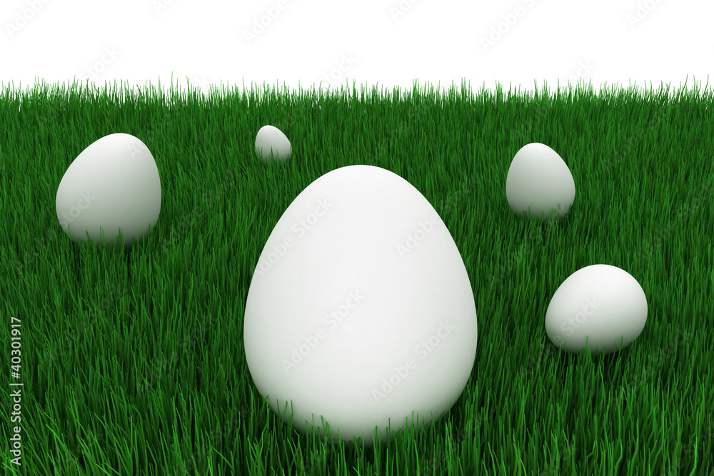 Eggs in the green grass Eggs in the green grass