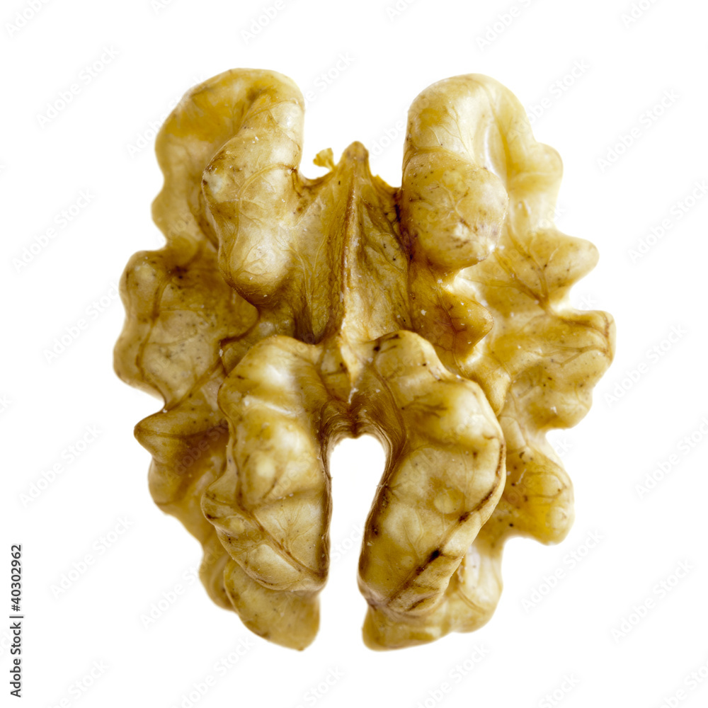 Shelled Walnut Shelled Walnut