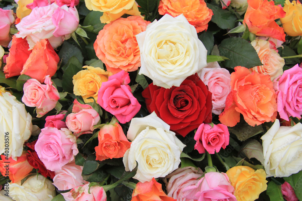 Rose bouquet in bright colors Rose bouquet in bright colors