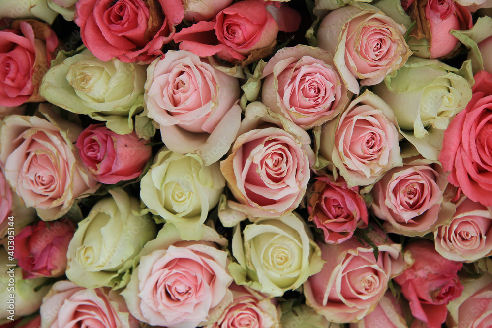 white and pink roses in an arrangement