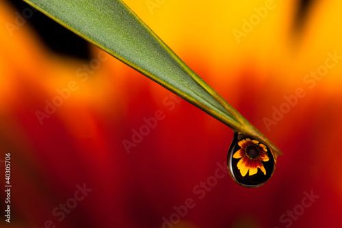 Water drop reflection