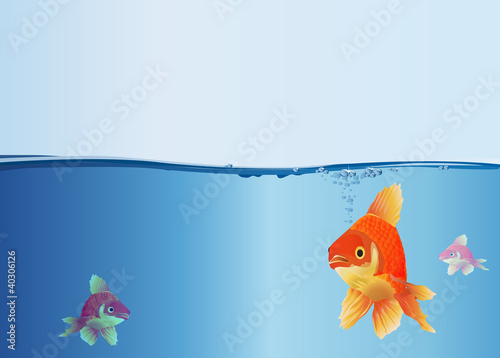Poisson_Aquarium