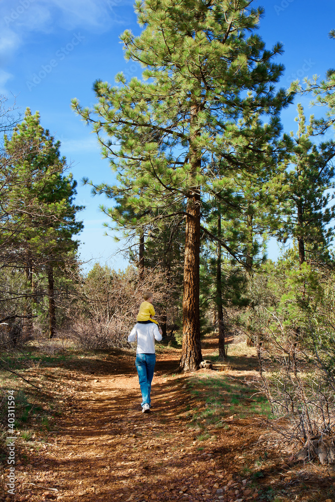 Fototapeta premium Walking along path