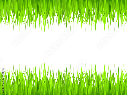 Grass frame, vector illustration