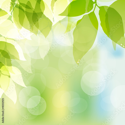 spring background with green leaves