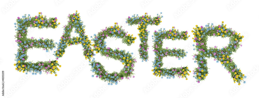 Easter word from grass and flower. isolated on white Easter word from grass and flower. isolated on white