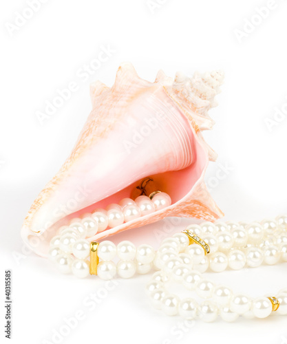 Beautiful exotic shell and pearls on white background.
